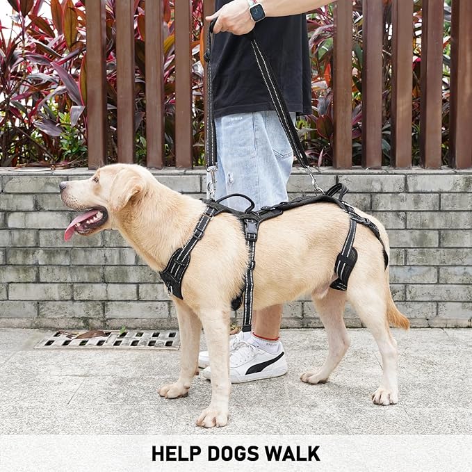 COODEO Mobility Dog Lift Harness, Support Sling & Walking Sling for Dogs, Pet Rear Leg Rehabilitation Support Vest, Dog Carrier for Senior Dogs with Joint Injuries, Arthritis, Up Stair (Black, XL)