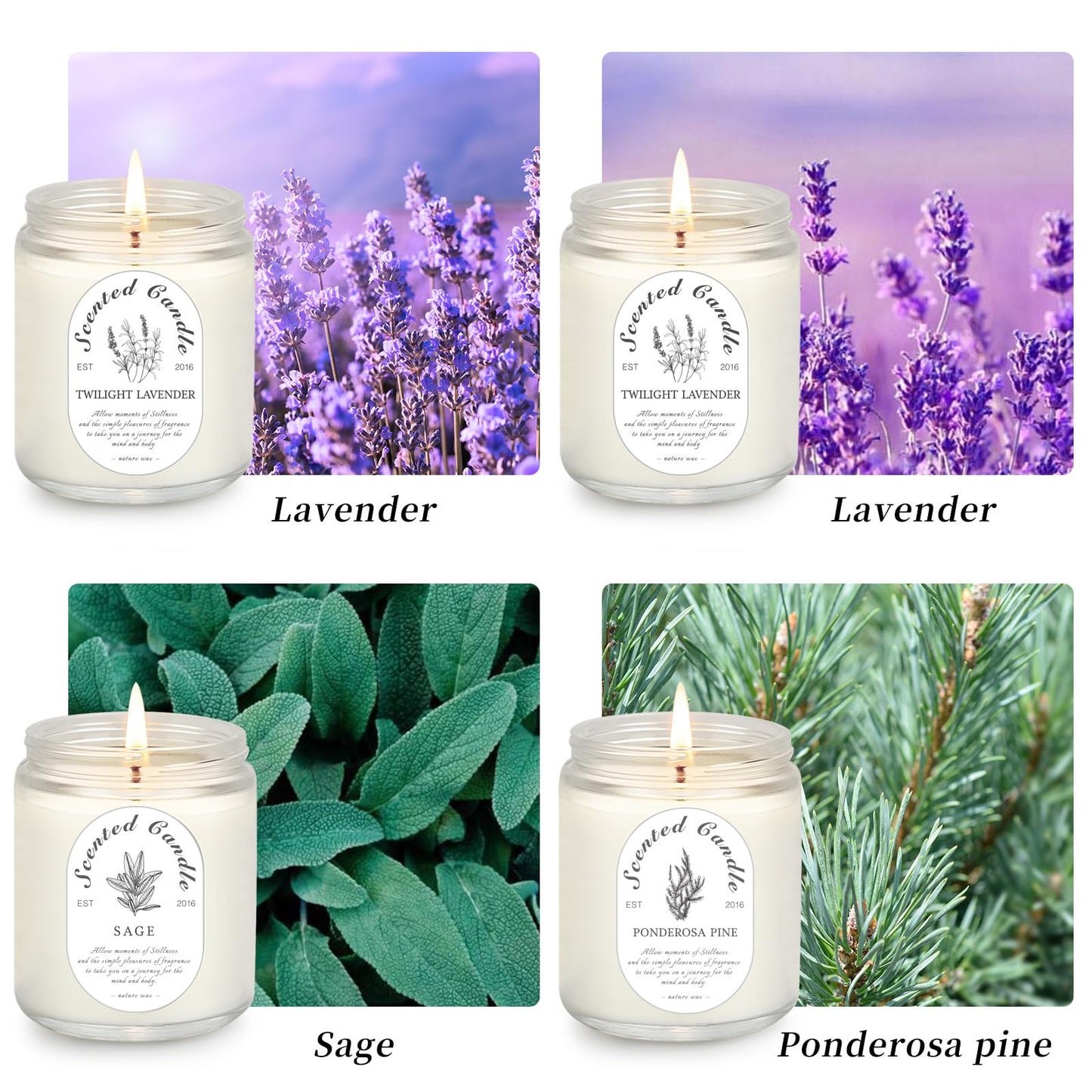 Scented Candle Gift Set, 4 Pack Soy Wax Scented Candles for Home – Lavender, Sage & Ponderosa Pine – Aromatherapy Candles for Relaxation, Stress Relief & Gifts for Women