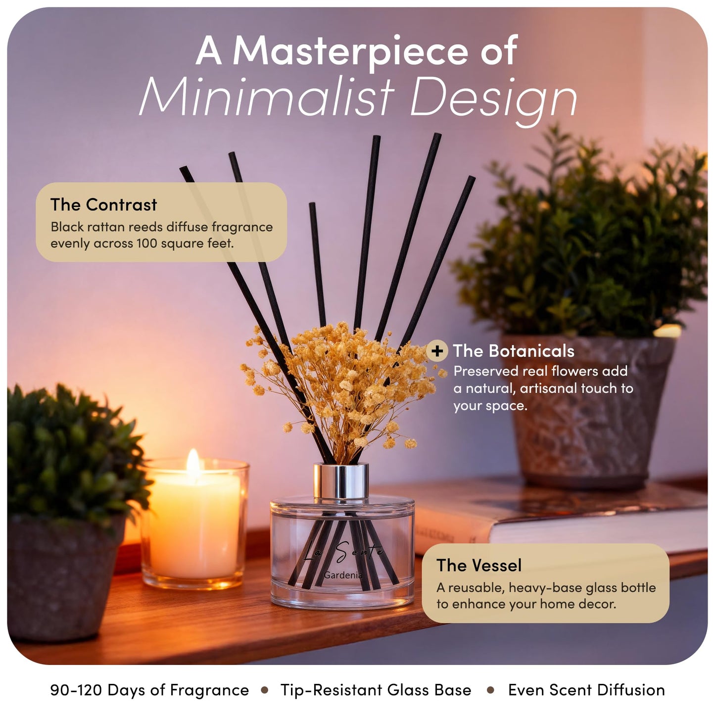 La Sente Reed Diffuser Set, Natural Gardenia, 6.7 fl oz / 200 ml