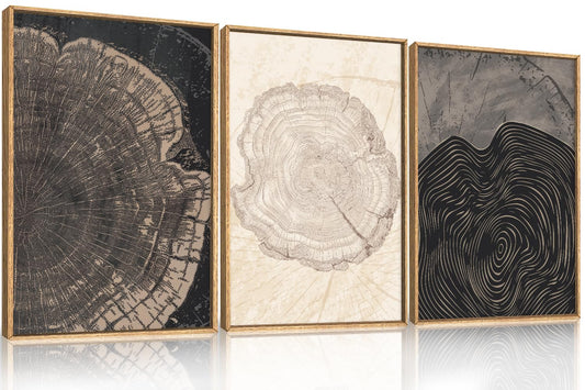 DRACIT Beige Pastel Wood Tree Rings Framed Canvas Wall Art Set,Modern Nature Grey Wood Stump Wall Decor,Vintage Minimalist Tree Spiral Art Print for Living Room,Bedroom,Dining Room,Office-16 x24 x3