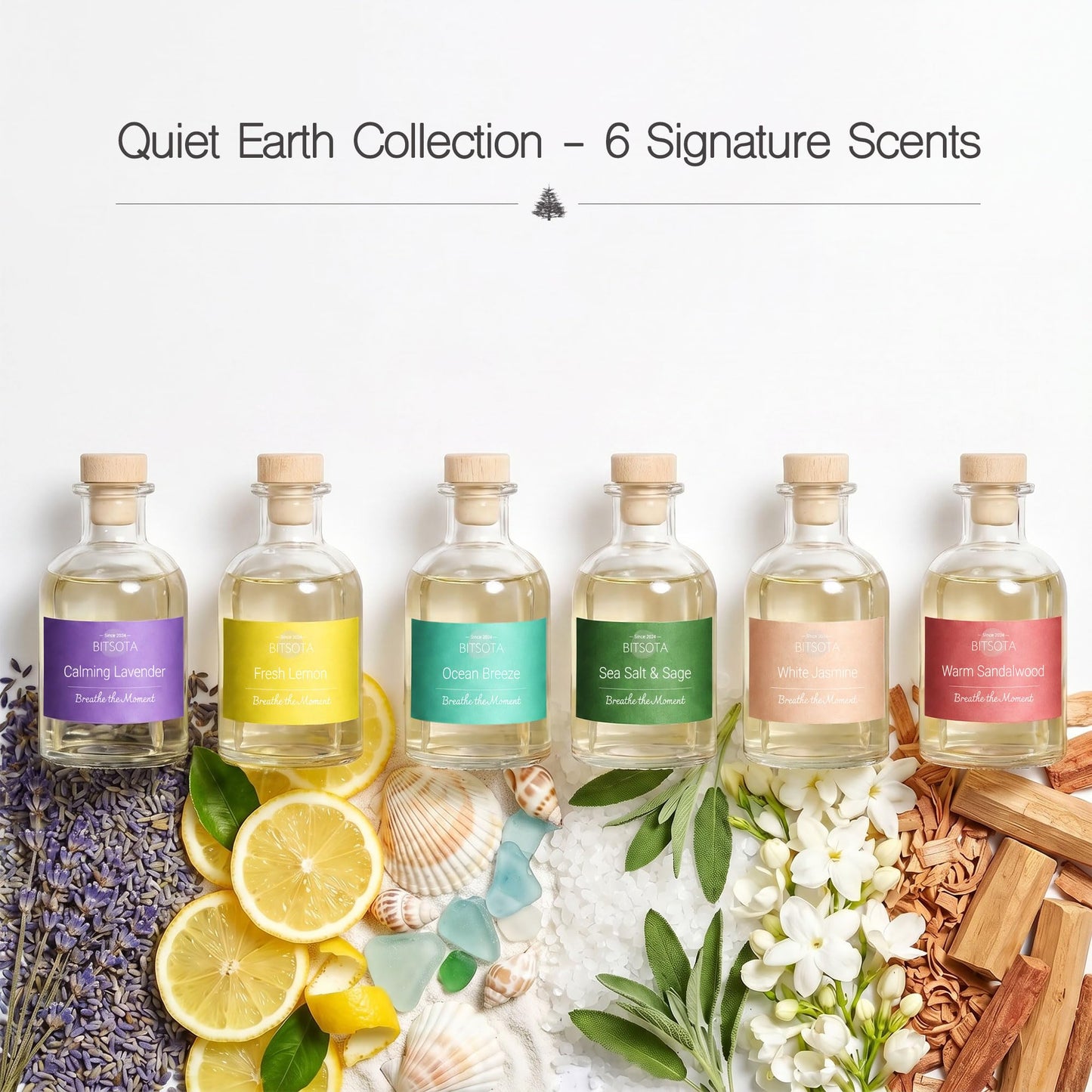 BITSOTA Natural Reed Diffuser Set, Fresh Lemon 3.52 oz (100ml) Scented Diffuser with Sticks Home Fragrance Reed Diffuser for Bathroom Shelf Decor, Ideal Gift for Woman