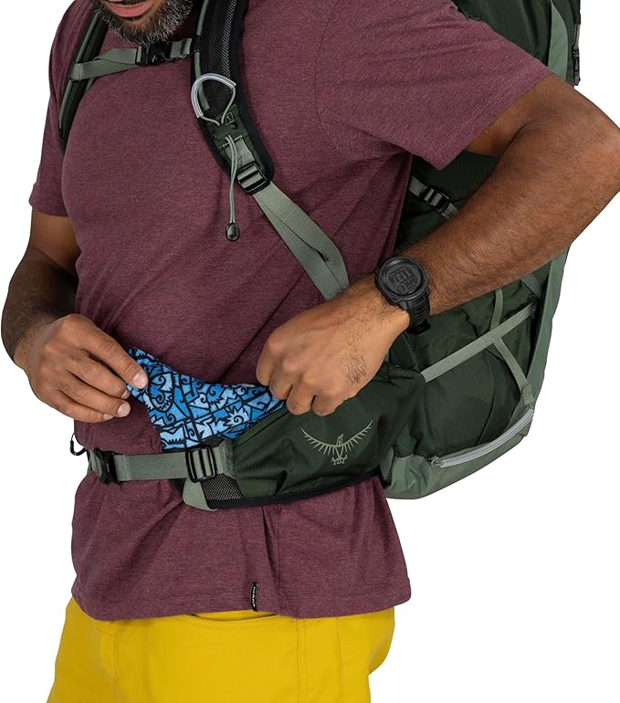Osprey Talon 33L Men's Lightweight Hiking Backpack - Daypack for Travel & Camping, Green Canopy/Pine Leaf