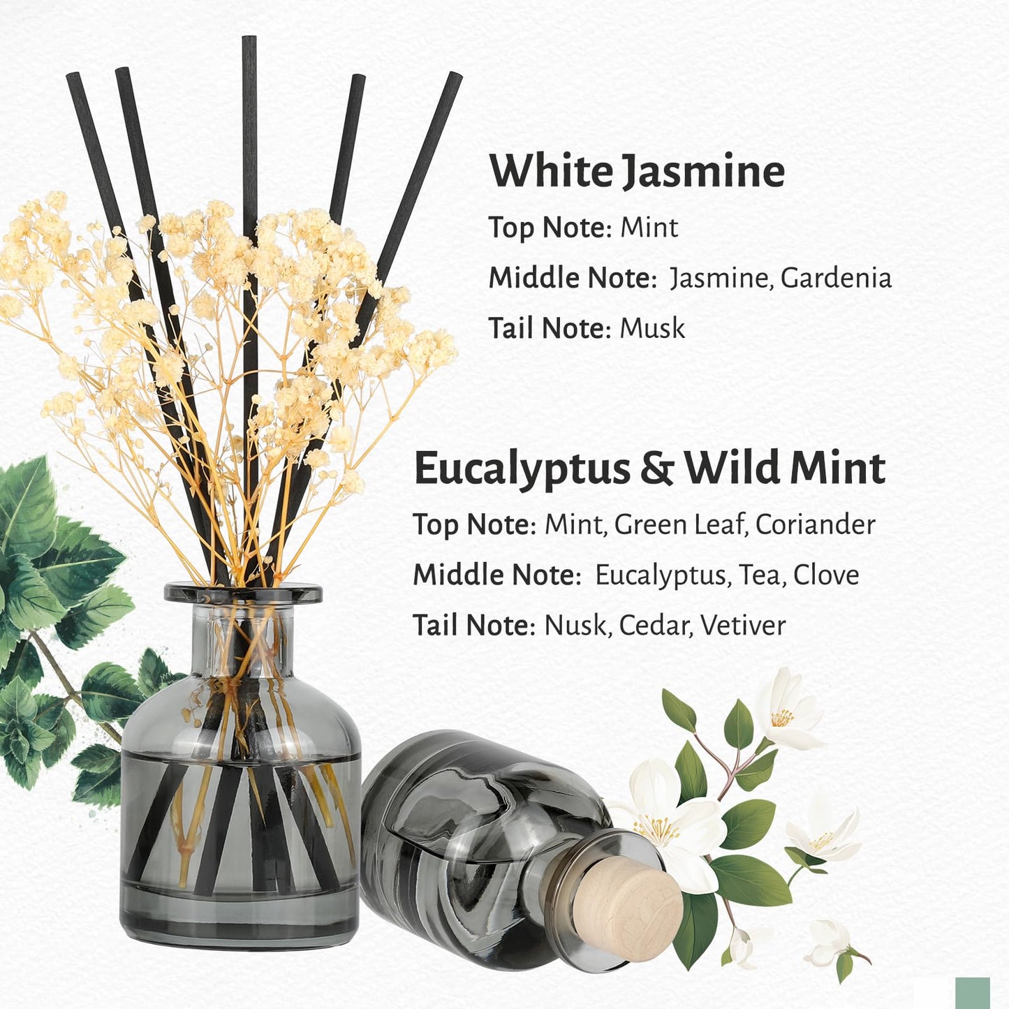 Brakula 2 Pack Reed Diffuser, White Jasmine + Eucalyptus & Wild Mint (3.38 fl oz Each Pack), Home Fragrance with 12 Sticks, Shelf Decor, Reed diffusers for Home