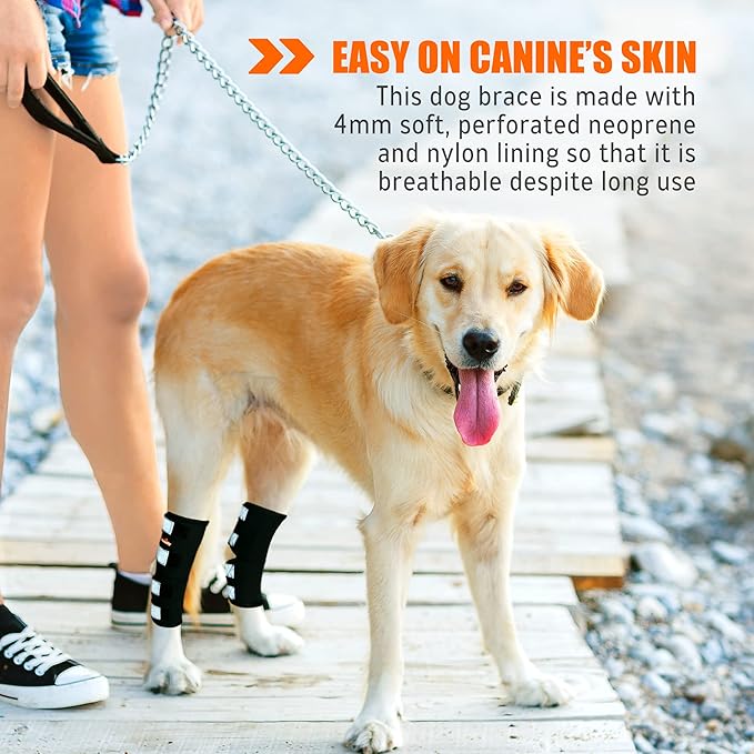 NeoAlly® - Rear Leg Hock Brace, Dog Leg Brace for Rear Leg, Hock & Ankle Support for Hind Legs, Dog Brace for Torn Acl and Ccl, Long Version, X-Small, 1 Pair