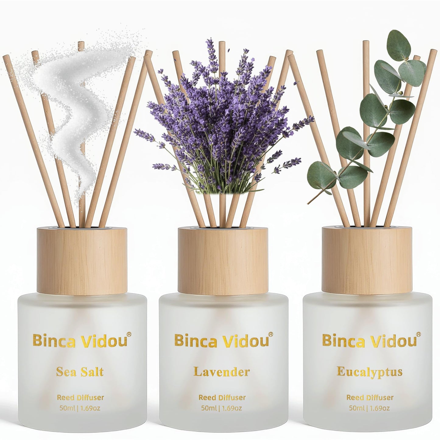 Reed Diffuser Set of 3, Binca Vidou Lavender, Eucalyptus & Sea Salt Natural Scent Oil Diffusers with Sticks for Home Office Bathroom Aromatherapy Decor 1.69oz x 3