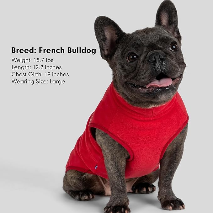 cyeollo Fleece Dog Sweater, Pullover Dog Fleece Jacket Turtleneck Sweatshirt Stretchy Doggie Vest Lightweight Warm Winter Christmas Clothes for Small Dogs Boy Girl, Red L