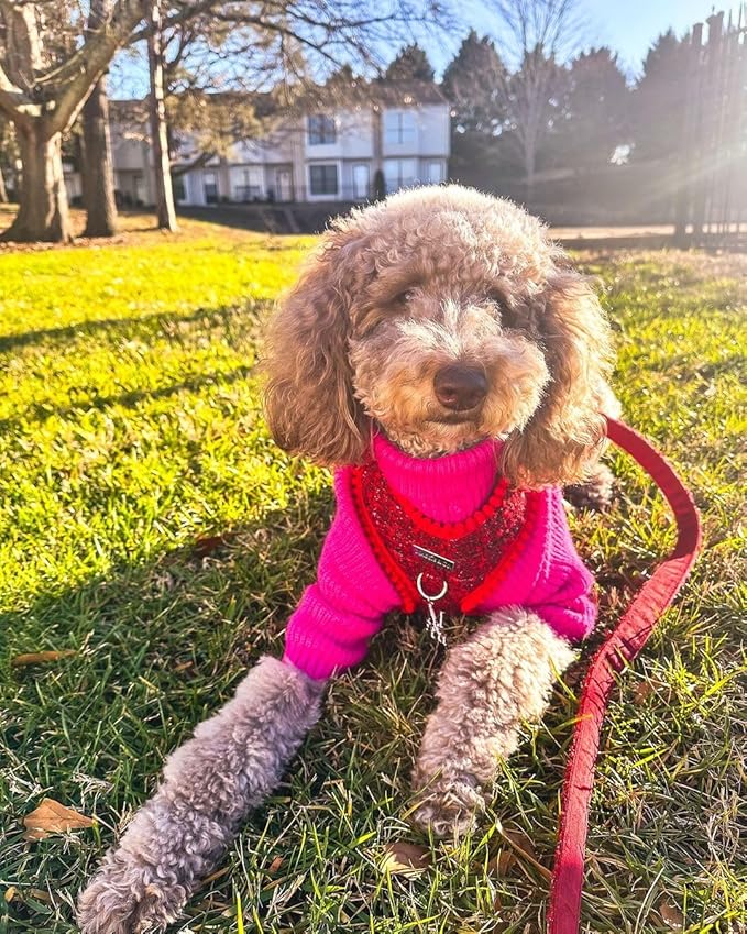Fitwarm Valentines Dog Turtleneck Sweater, Dog Winter Clothes for Small Dogs Girl, Knitted Pet Coat, Cat Outfit, Hot Pink, Large