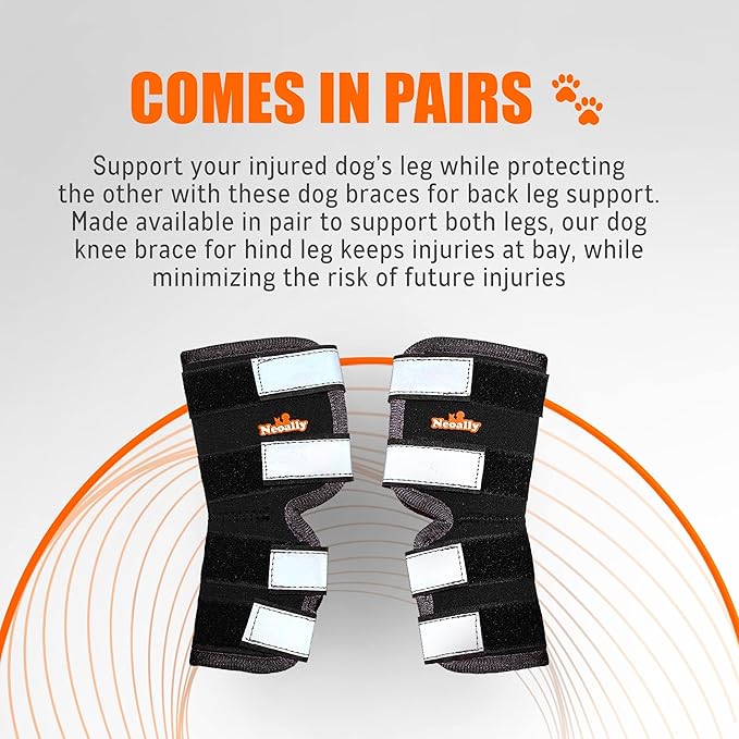 NeoAlly® - Rear Leg Hock Brace, Dog Leg Brace for Rear Leg, Hock & Ankle Support for Large Dogs, Dog Brace for Torn Acl and Ccl, Long Version, Small, 1 Pair