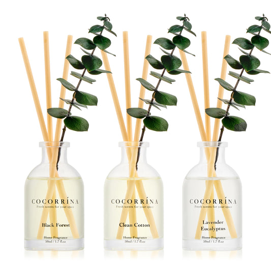 COCORRÍNA Eucalyptus Reed Diffuser Set of 3 - Lavender Eucalyptus, Black Forest, Clean Cotton Scents, 1.7 fl oz Each, Total 5.1 oz, Scented Oil Diffusers for Home & Office﻿