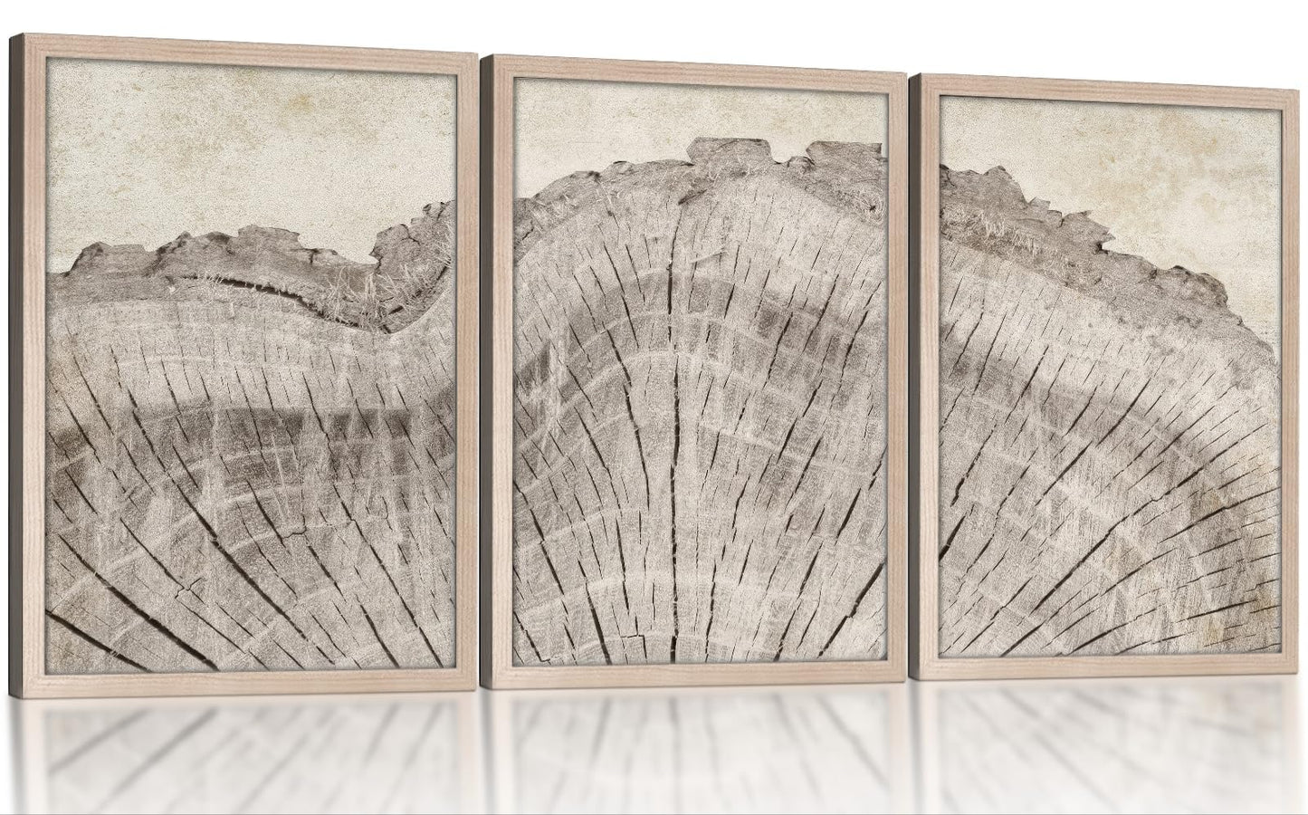 Framed Tree Ring Canvas Wall Art Set of 3, Rustic Nature Inspired Prints, Ready to Hang Artwork for Living Room Bedroom Bathroom, 12x16 Inch
