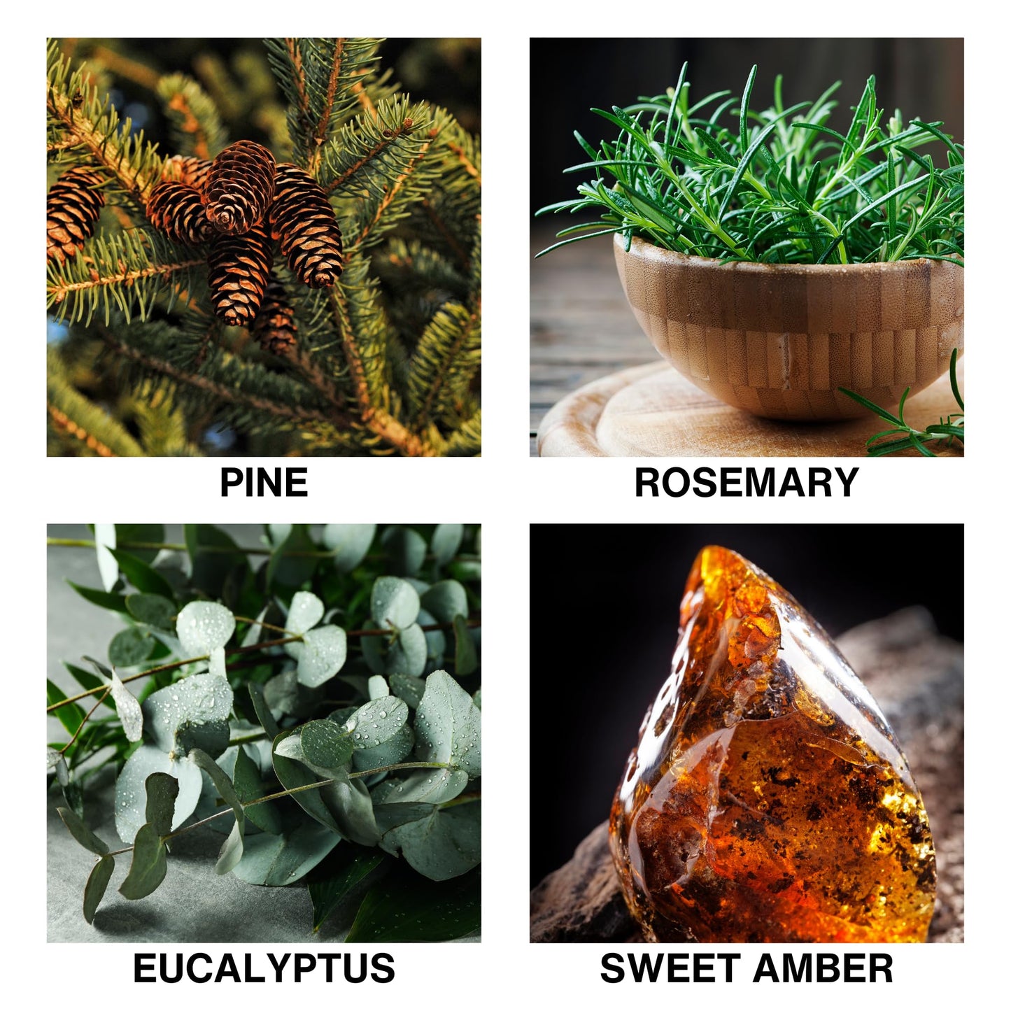 De Lumique Misty Pines Scent Reed Diffuser – Luxury Reed Diffuser with Pine, Eucalyptus & Amber – Long-Lasting, Natural Aromatherapy Scent for Home, Office, or Bedroom – 50ml