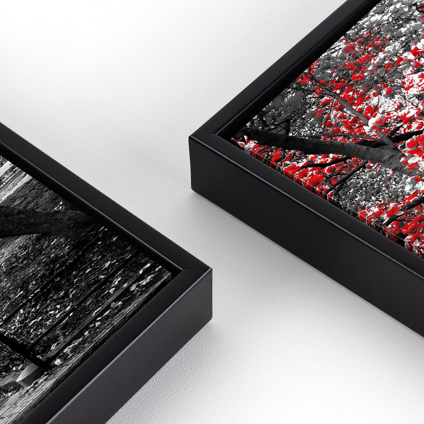 Muzenso Black and Red Trees Canvas Wall Art 20x40 Inch Surreal Black and White Landscape Scene in Central Park New York City Artwork with Black Floater Frame Modern Urban Home Decoration