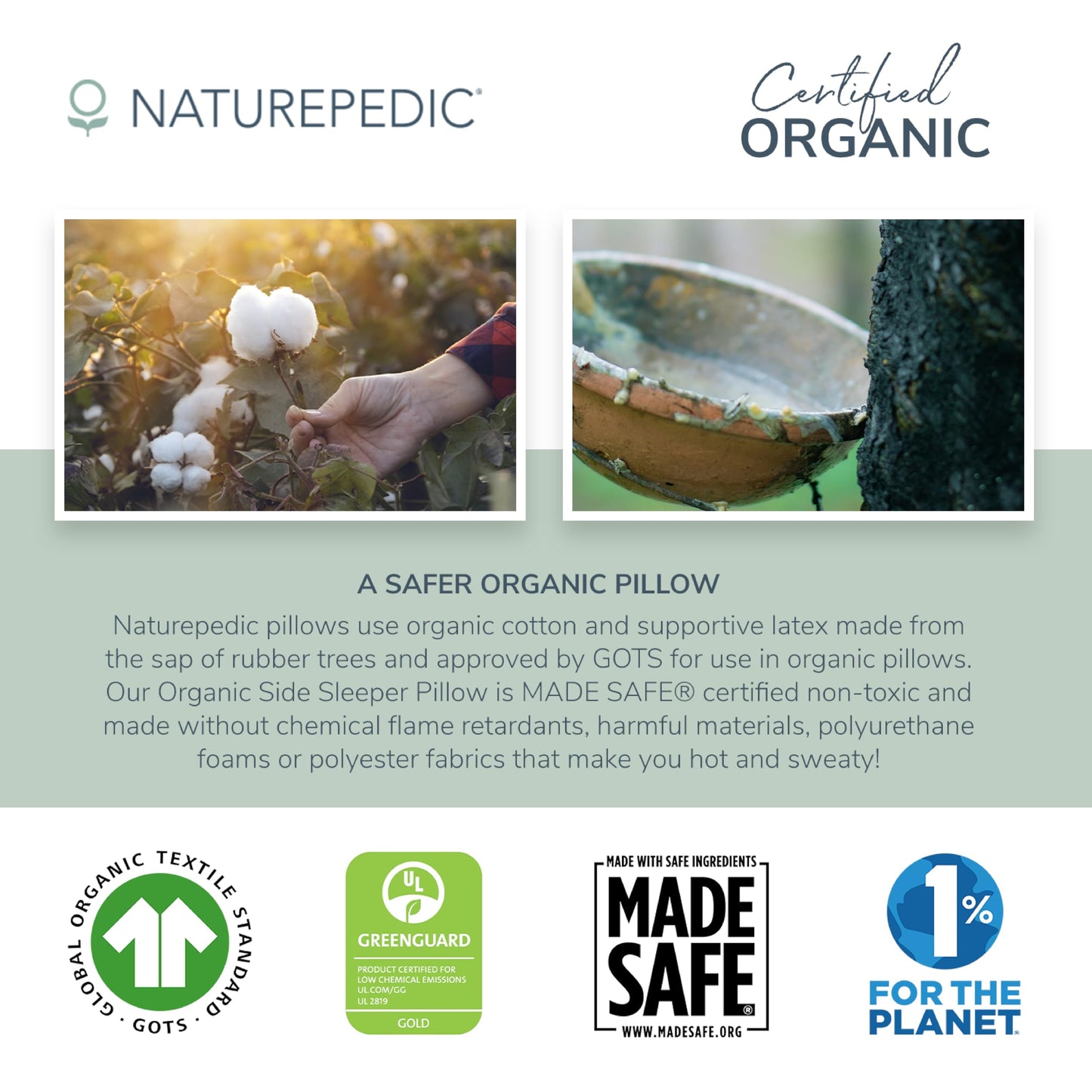 Naturepedic Organic Latex Side Sleeper Pillow - Standard/Queen Bed Pillow with Shoulder Cutout - Luxury Pillow for Back Support and Neck Pain Relief