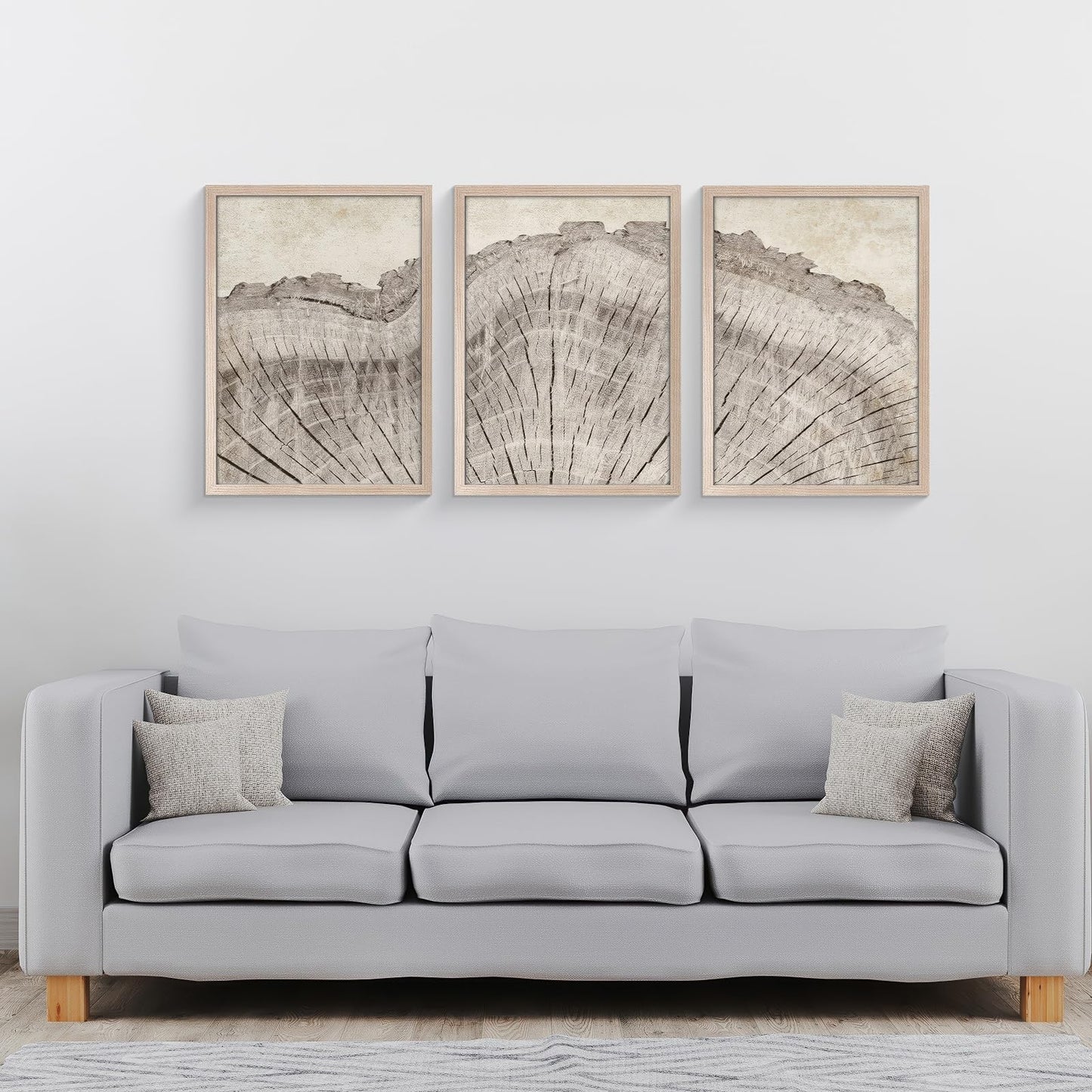 Framed Tree Ring Canvas Wall Art Set of 3, Rustic Nature Inspired Prints, Ready to Hang Artwork for Living Room Bedroom Bathroom, 12x16 Inch