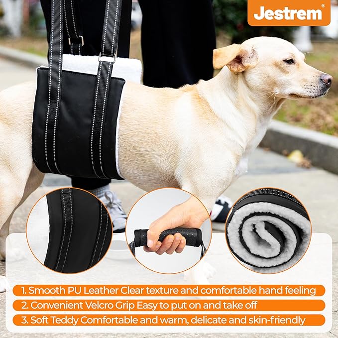 Jestrem Dog Lift Harness, Adjustable Comfortable Dog Sling with Handle for Large Dog Knee Brace for Torn ACL Hind Leg, Weak Rear Legs, Helps Senior, Injured, Disabled,M