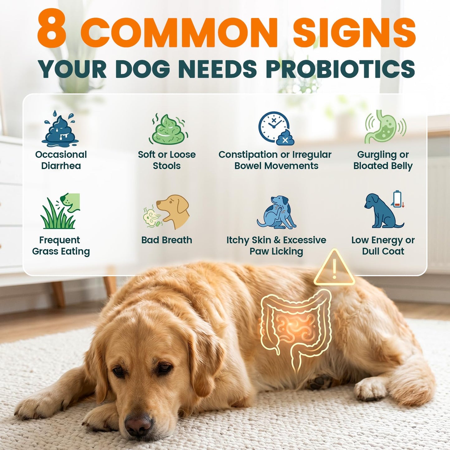 Probiotics for Dogs, Dog Probiotics for Yeast, Itchy Skin and Itchy Ears, Allergies, Immunity, Dog Gut Health Probiotic for Digestive Enzymes & Prebiotics for Diarrhea & Gas Relief (Chicken, 200 Chew)