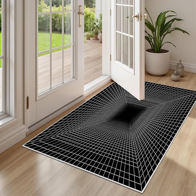 Optical Illusion Rug - Washable Rugs 6x8, Abstract Geometric Lines Soft Neutral Indoor Floor Mats Plaid Carpet, Non-Slip Stain Resistant Modern Black Rug for Bedroom, Living Room Rugs