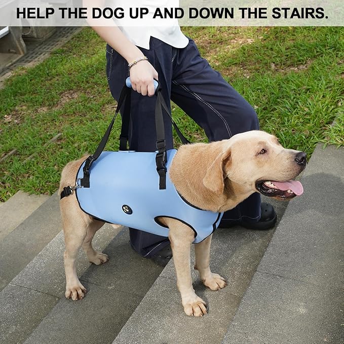 Coodeo Dog Lift Harness, Pet Support & Rehabilitation Sling Lift Adjustable Padded Breathable Straps for Old, Disabled, Joint Injuries, Arthritis, Loss of Stability Dogs Walk (Blue, M)