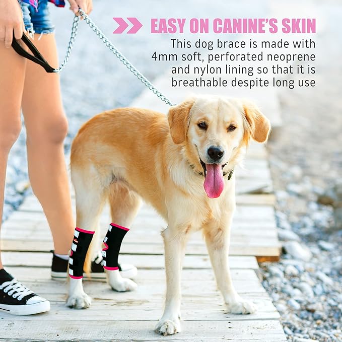NeoAlly Dog Rear Leg Braces [Long Version] Canine Hind Hock Support with Safety Reflective Straps for Joint Injury, Sprain Protection, Wound Healing and Loss of Stability from Arthritis (Pink L Pair)