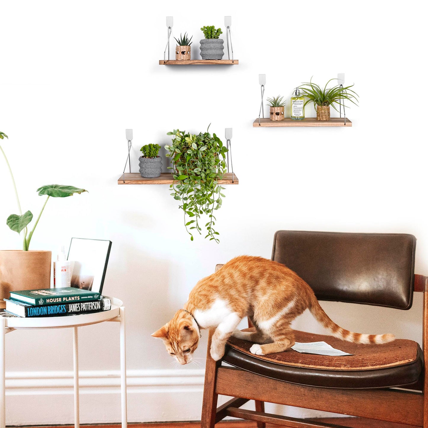 MITIME Floating Shelves Set of 3 Rustic Solid Wood Floating Shelf Wall Storage Shelves for Living Room, Bedroom, Bathroom, Kitchen Laundry, Office,no Drill Shelf (Light Color L+M+S)