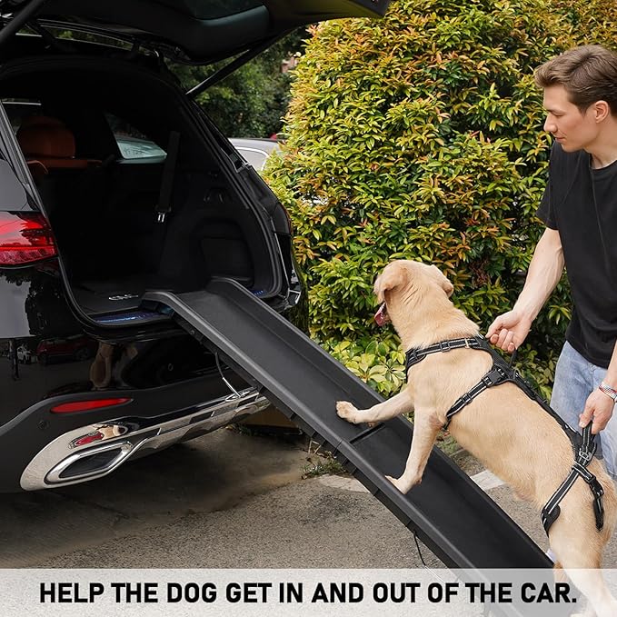 COODEO Mobility Dog Lift Harness, Support Sling & Walking Sling for Dogs, Pet Rear Leg Rehabilitation Support Vest, Dog Carrier for Senior Dogs with Joint Injuries, Arthritis, Up Stair (Black, M)