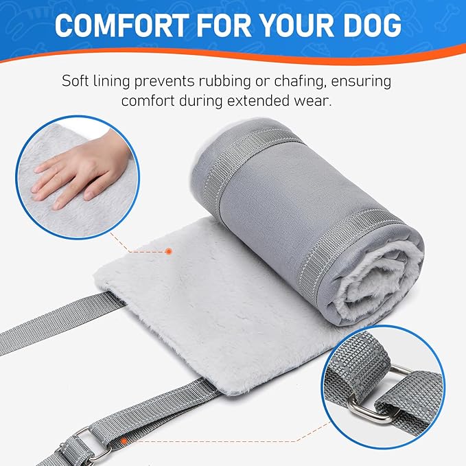 Dog Lift Harness for Small Dogs, Adjustable Dog Sling for Back Legs, Hip Support Harness to Help Lift Dogs Rear for Helps Senior, Injured, Disabled and After ACL Surgery Dogs - Small, Grey