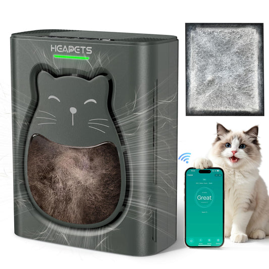 Pet Air Purifier for Home, H13 HEPA Washable Filter,Air Cleaner with APP&Air Quality Monitor for Pet Hair Dander Odor Allergies Pollutant Smoke Dust for Large Rooms 2200 Ft², Auto Mode,P365 Black