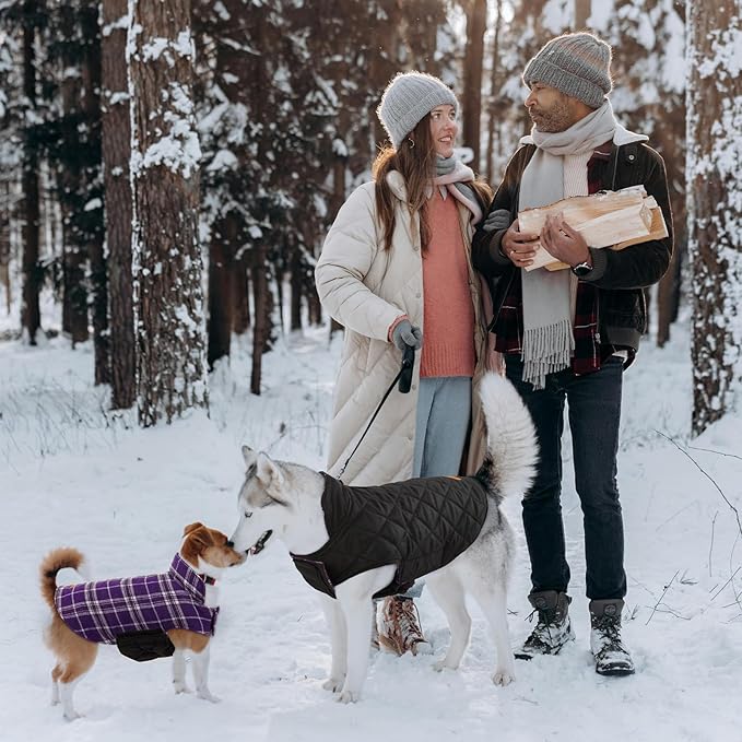 Kuoser Waterproof Dog Coat, Reversible Dog Jacket for Large Dogs, Adjustable Durable Doggie Winter Coat for Groowing Puppies Warm Puppy Cold Weather Apparel, Purple L