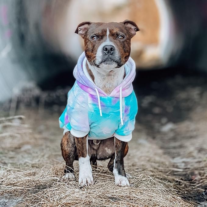 Spark Paws Dog Hoodie – Premium Dog Sweater for Small, Medium, and Large Dogs | Warm Outfits for French Bulldogs, Pitbull, Puppy, Winter Jacket Alternative - 90s Retro Sky Dye - L