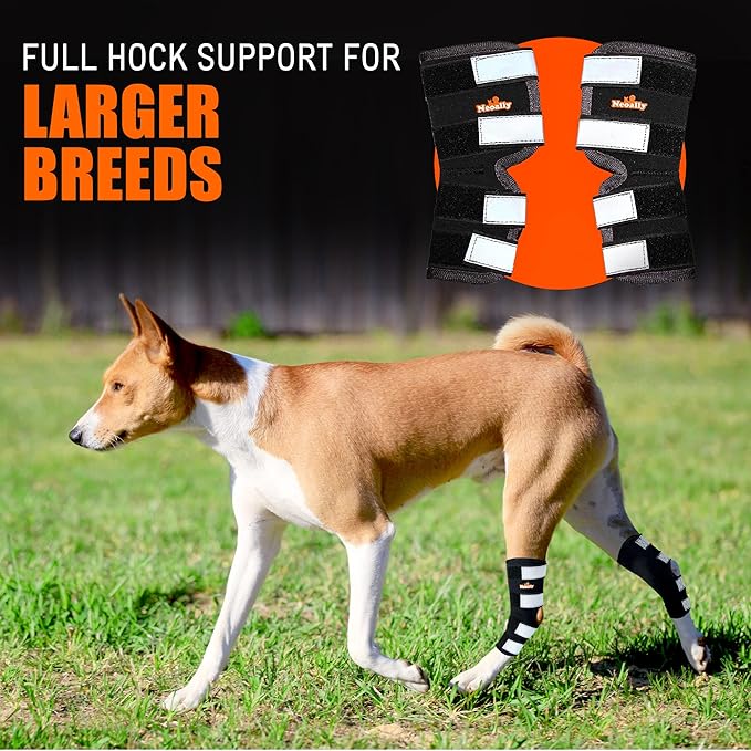 NeoAlly® - Rear Leg Hock Brace, Dog Leg Brace for Rear Leg, Hock & Ankle Support for Large Dogs, Dog Brace for Torn Acl and Ccl, Long Version, Large, 1 Pair