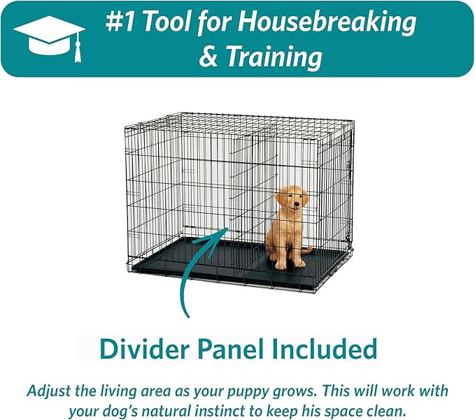 MidWest Homes for Pets 48-Inch Two-Door iCrate Folding Dog Crate with Divider Panel, Leak-Proof Tray & Secure Latches – Metal Wire Kennel for XL Breeds – Portable, Durable & Easy to Assemble