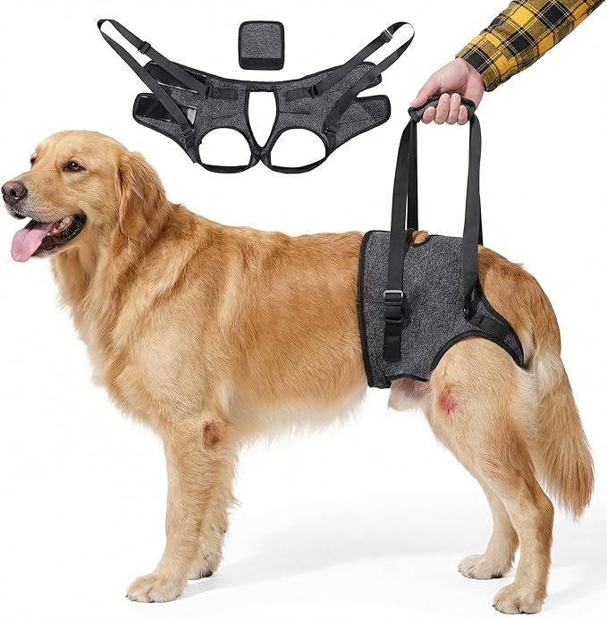 BARDIMIES Dog Lift Harness for Back Legs–Sturdy Dog Support Sling–Hip Sling Carrier for Large Medium Canine, Stair Helper for Aid Old Ligament Rehabilitation Pet, Grey-XL