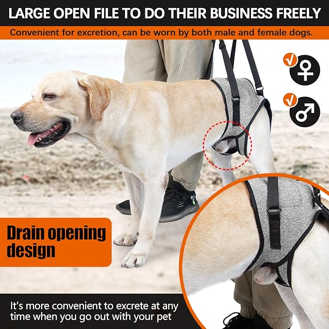 ROZKITCH Dog Lift Harness, Pet Rear Support Aid Veterinarian Approved Sling for Old Help with Poor Stability, Back Leg Hip Disabled Joint Injury Elderly Arthritis ACL Rehabilitation Rehab Grey S