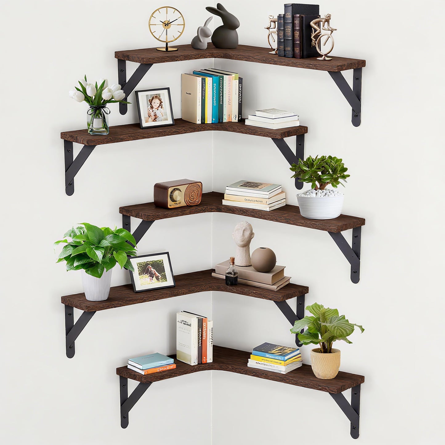 CACASO 5 Pack Floating Shelves, Rustic Wood Wall Storage Corner Shelf, Wall Mounted Wood Shelves for Office, Home Decor, Bathroom, Kitchen(Dark Brown)