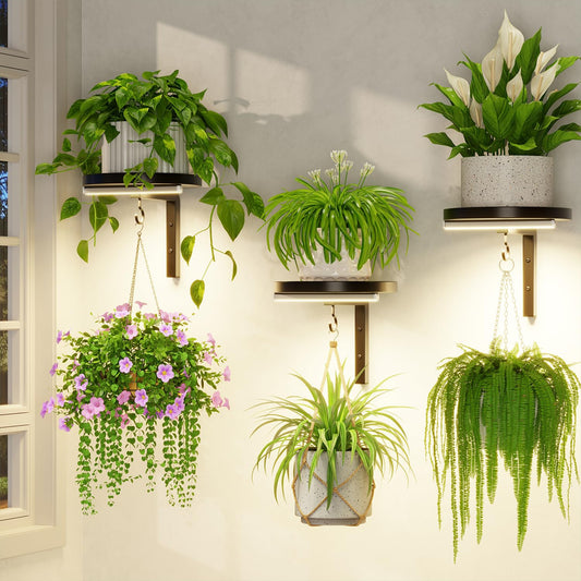 LASZOLA Plant Hangers Shelves Wall Mounted Indoor with Grow Lights, Metal Window Plant Holders, 3Pcs Modern Floating Flower Display Stand with 3 Hooks for Outdoor Kitchen Bathroom Decor, Black