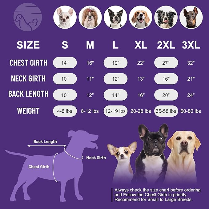 cyeollo Fleece Dog Sweater, Pullover Dog Fleece Jacket Turtleneck Sweatshirt Stretchy Vest Warm Lightweight Winter Clothes for Small Dogs, Green L