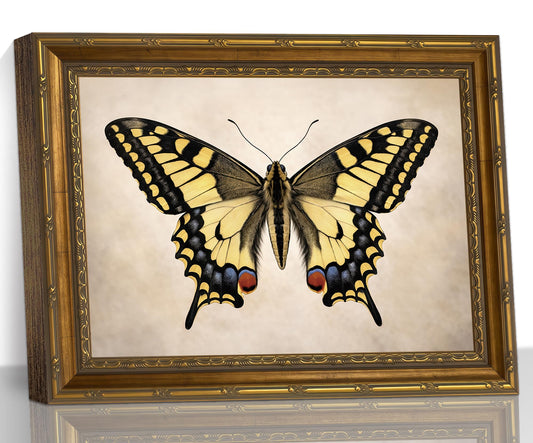 Vintage Swallowtail Butterfly Gold Framed Canvas Decor, 12 x 16 Inch