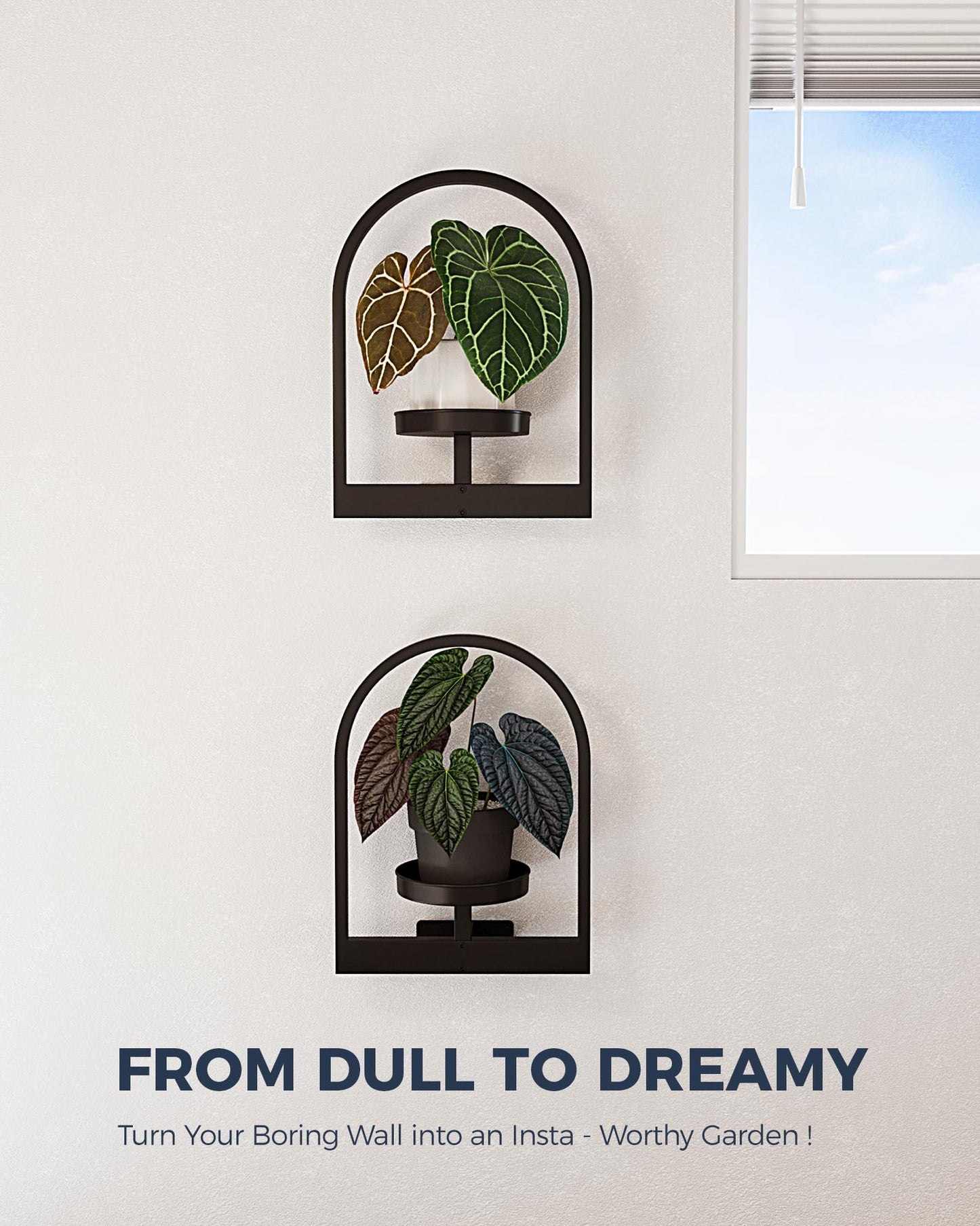 Bamworld Plant Stand Indoor, Plant Hanger Wall Planters for Indoor Plants Window Plant Shelves Plant Holder Wall Decor, Room Decor, Round (Patent Design)