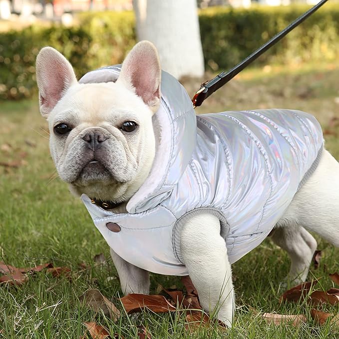 Windproof Waterproof Dog Coat Fleece & Cotton Lined Warm Jacket, Cold Weather Pet Apparel Clothes Vest for Small Medium Large Dog (S, Silver)