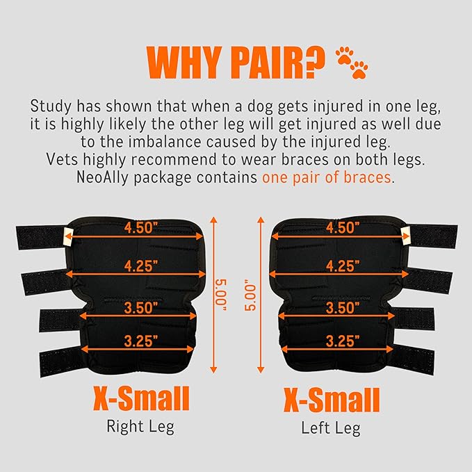 NeoAlly® - Rear Leg Hock Brace, Dog Leg Brace for Rear Leg, Hock & Ankle Support for Hind Legs, Dog Brace for Torn Acl and Ccl, Long Version, X-Small, 1 Pair