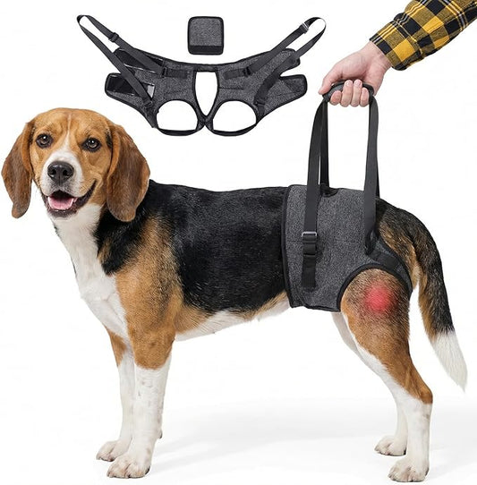 BARDIMIES Dog Lift Harness for Back Legs–Sturdy Dog Support Sling–Hip Sling Carrier for Large Medium Canine, Stair Helper for Aid Old Ligament Rehabilitation Pet, Grey,M