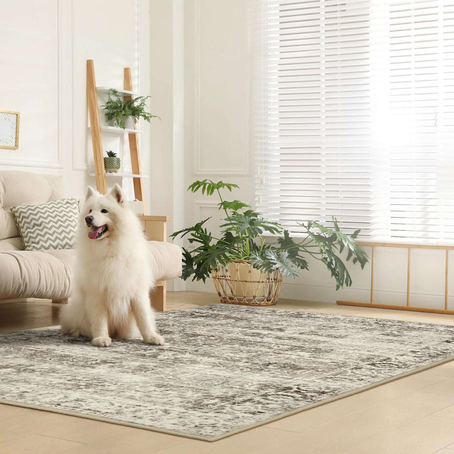 Lahome Margot Washable Rugs 5x7 Boho Living Room Area Rug,Soft Throw Bedroom Area Rug,Retro Distressed Non-Slip Low-Pile Accent Rug Indoor Carpet for Entryway Office Home Decor(5 x 7,Beige)