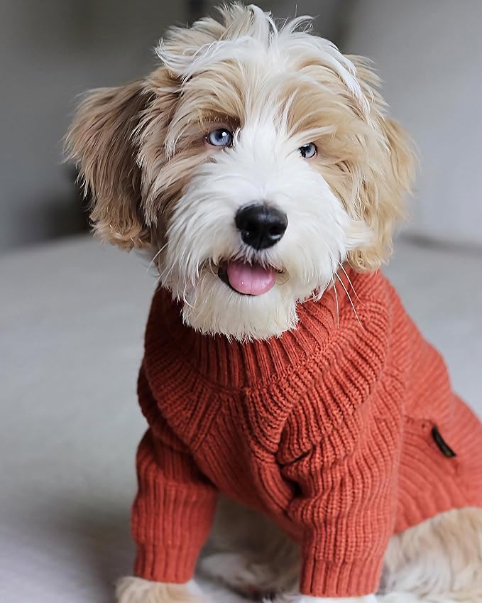 Fitwarm Thermal Knitted Dog Sweater Doggy Winter Coat Pet Clothes Doggie Turtleneck Jacket Puppy Outfits Cat Sweatsuit Red XS