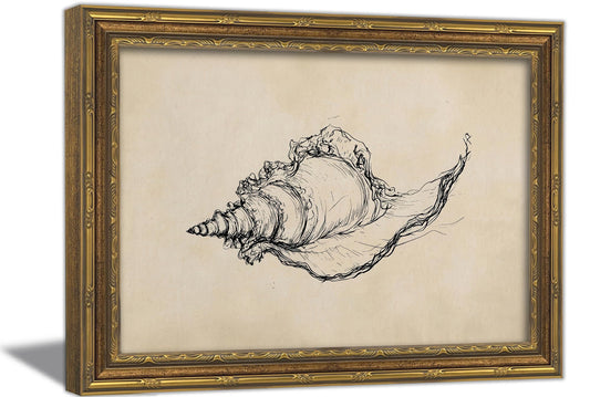 Vintage Seashell Sketch Canvas Wall Art, Framed Nautical Conch Painting Picture Poster Print, Minimalist Coastal Ocean Artwork Home Decoration for Living Room Bedroom Bathroom 9x11in