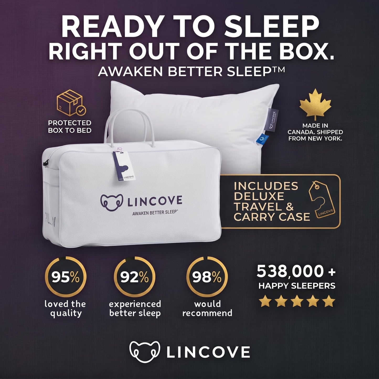 Lincove Signature 100% Natural Canadian White Down Luxury Sleeping Pillow - 800 Fill Power, 500 Thread Count Cotton Shell, Made in Canada, King - Soft, 2 Pack