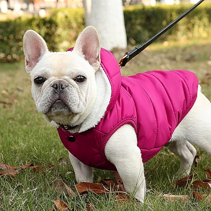 Windproof Waterproof Dog Coat Fleece & Cotton Lined Warm Jacket, Cold Weather Pet Apparel Clothes Vest for Small to Large Dogs (XL, Pink)