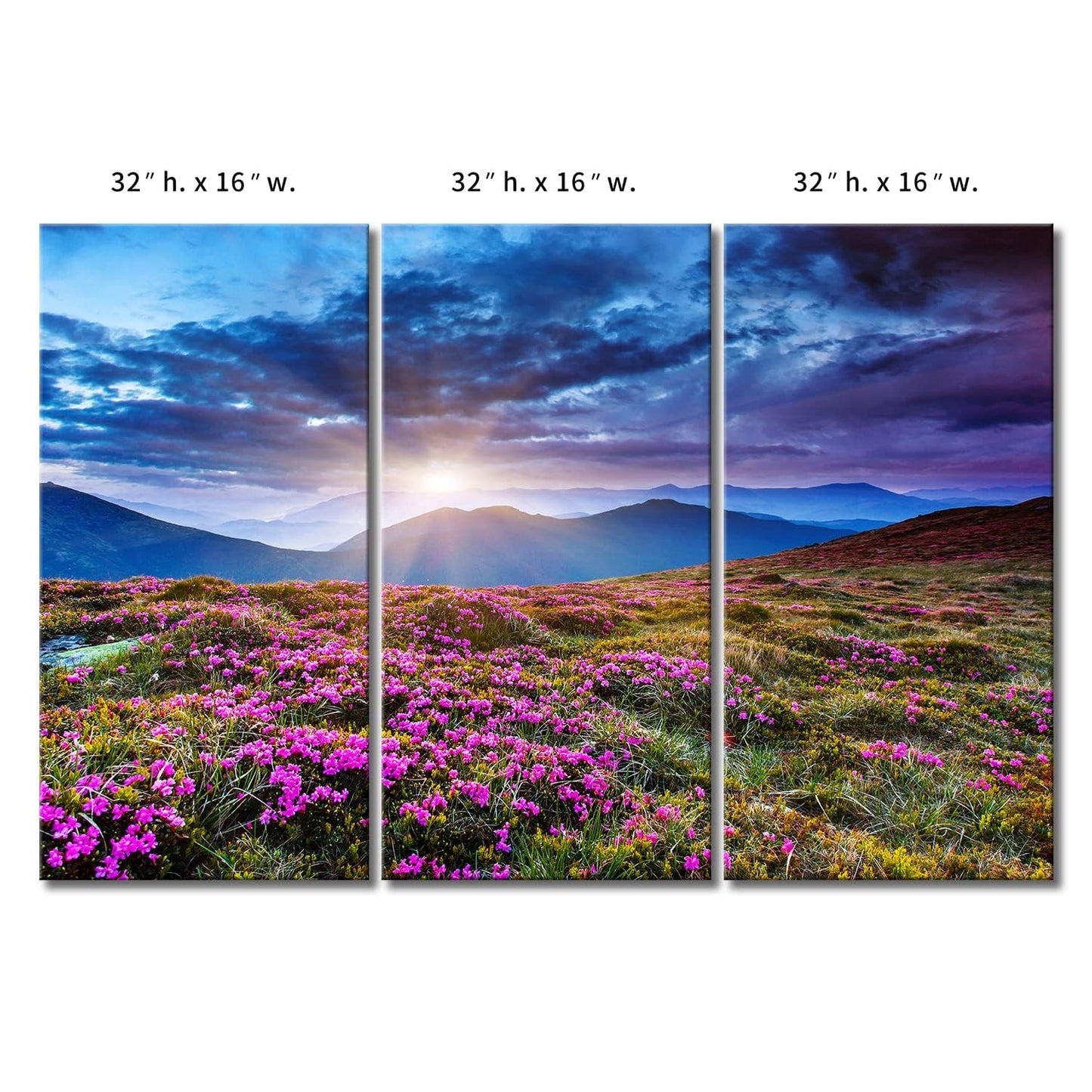 3 Panel Wall Art Mountain Landscape Spring Canvas Sunrise Blue Skyline Purple Flowers Picture Print On Canvas Art for Living Room Kitchen Home Decor