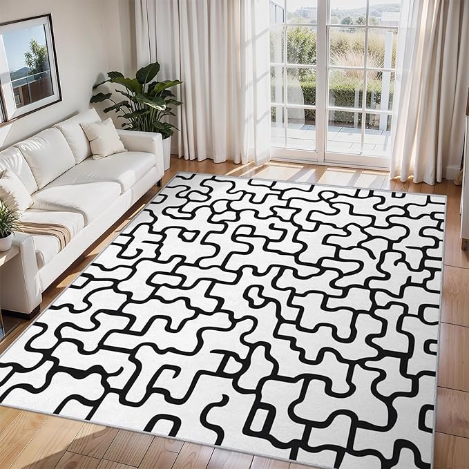 Abstract Geometric Rugs for Home Decor, 4x5 ft, Black and White Labyrinth Area Rugs for Living Room, Soft Non Slip Washable Modern Abstract Line Carpet Bedroom Decorations Dt-Ghf-31