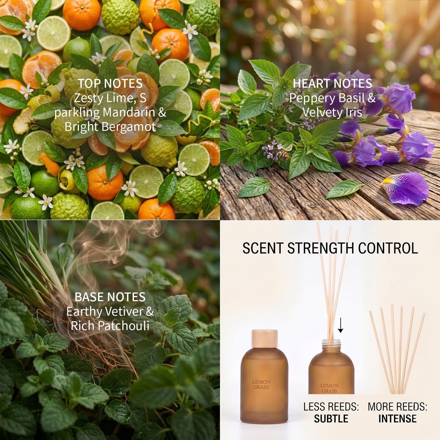 Fragrantseason Reed Diffuser Set 6.7 oz Scented Oil Diffuser with 6 Fiber Sticks, Long Lasting Home Fragrance for Bathroom Shelf Decor, Living Room, Office Aromatherapy Gift 01 (Lemon Grass)