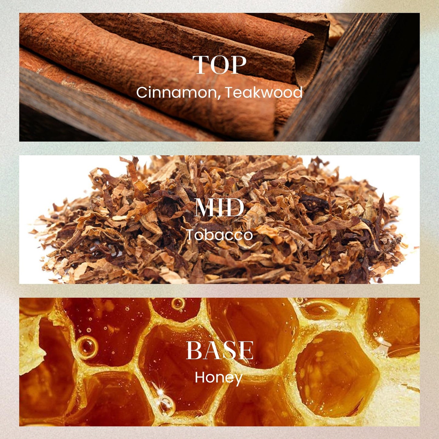 M&SENSE 6.3 oz Large Reed Diffuser Set | Tobacco Teakwood Scent Oil Diffuser with Sticks | Hotel Collection Non-Toxic Essential Oil |for Bedroom Bathroom Living Room